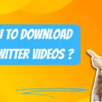 X Twitter Video Downloader